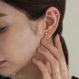 Gold plated zirconia Stones earings